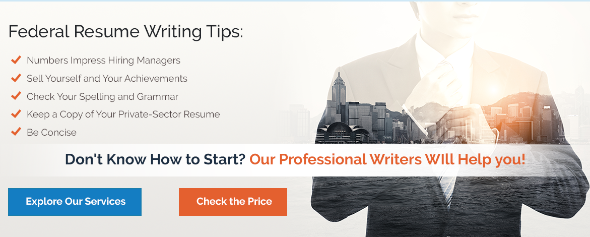 Professional resume writing services for government jobs