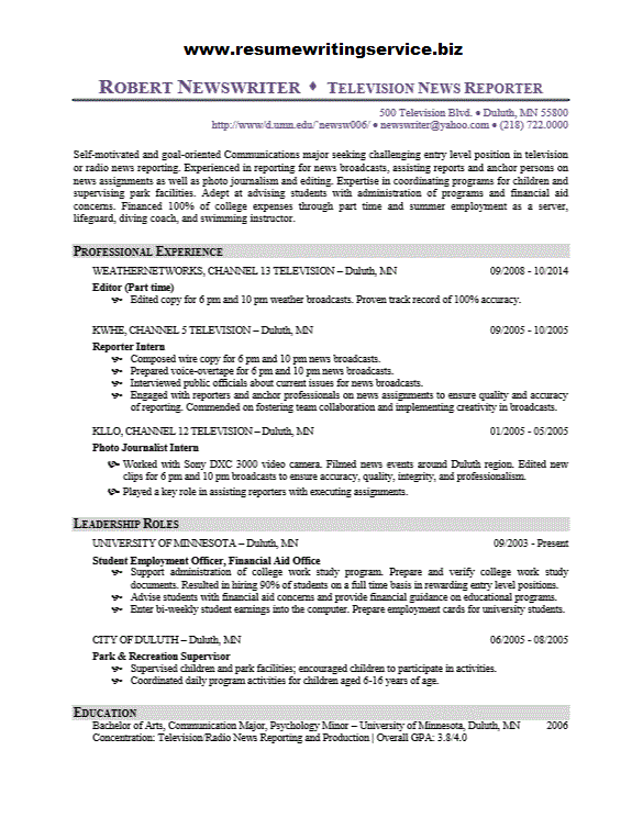 Analyst programmer sample resume