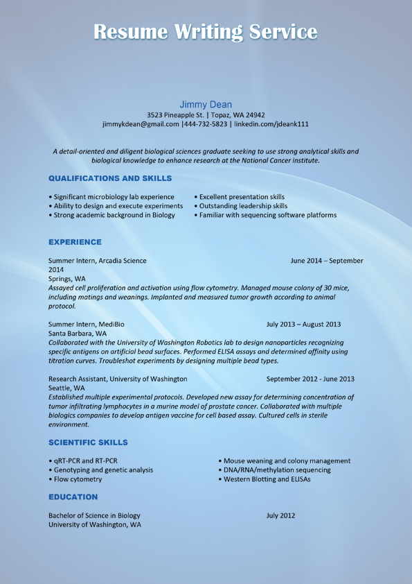 International cv writing service International cv writing service