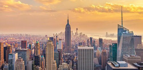 resume writing services nyc online