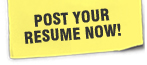 Resume Writing Service Resume Posting