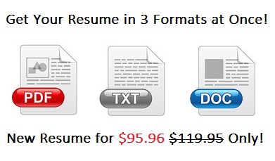 Resume Formats