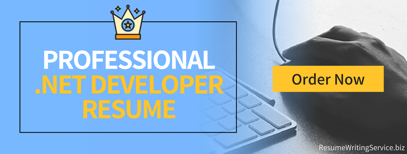 help with entry level .net developer resume